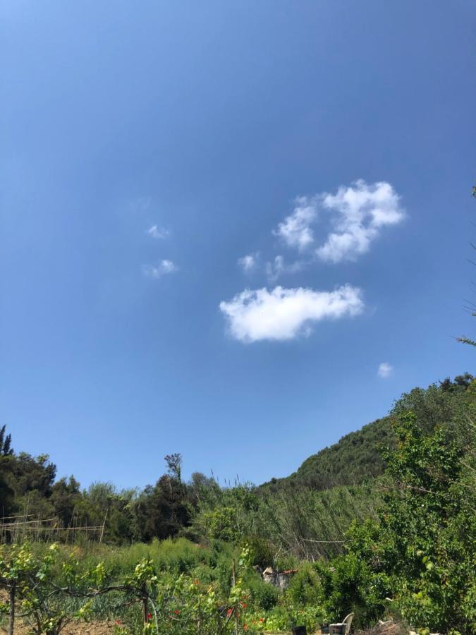 Villa Vasiliki Vitaládes Exteriör bild